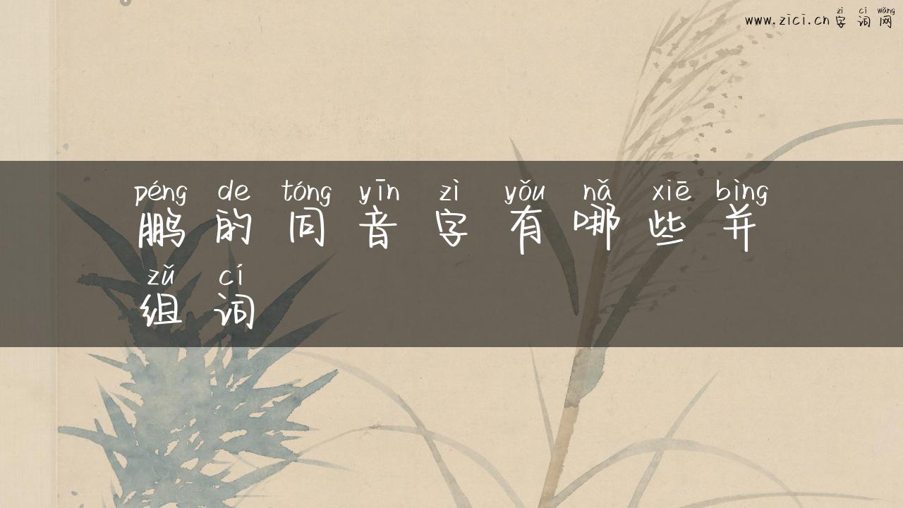 鹏的同音字有哪些并组词