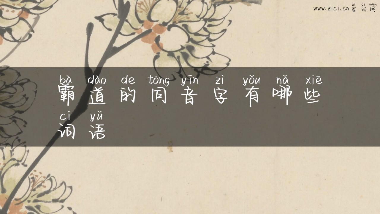 霸道的同音字有哪些词语