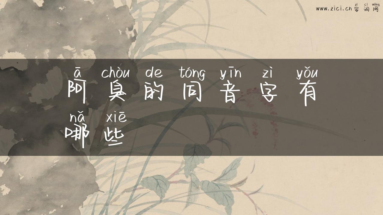 阿臭的同音字有哪些
