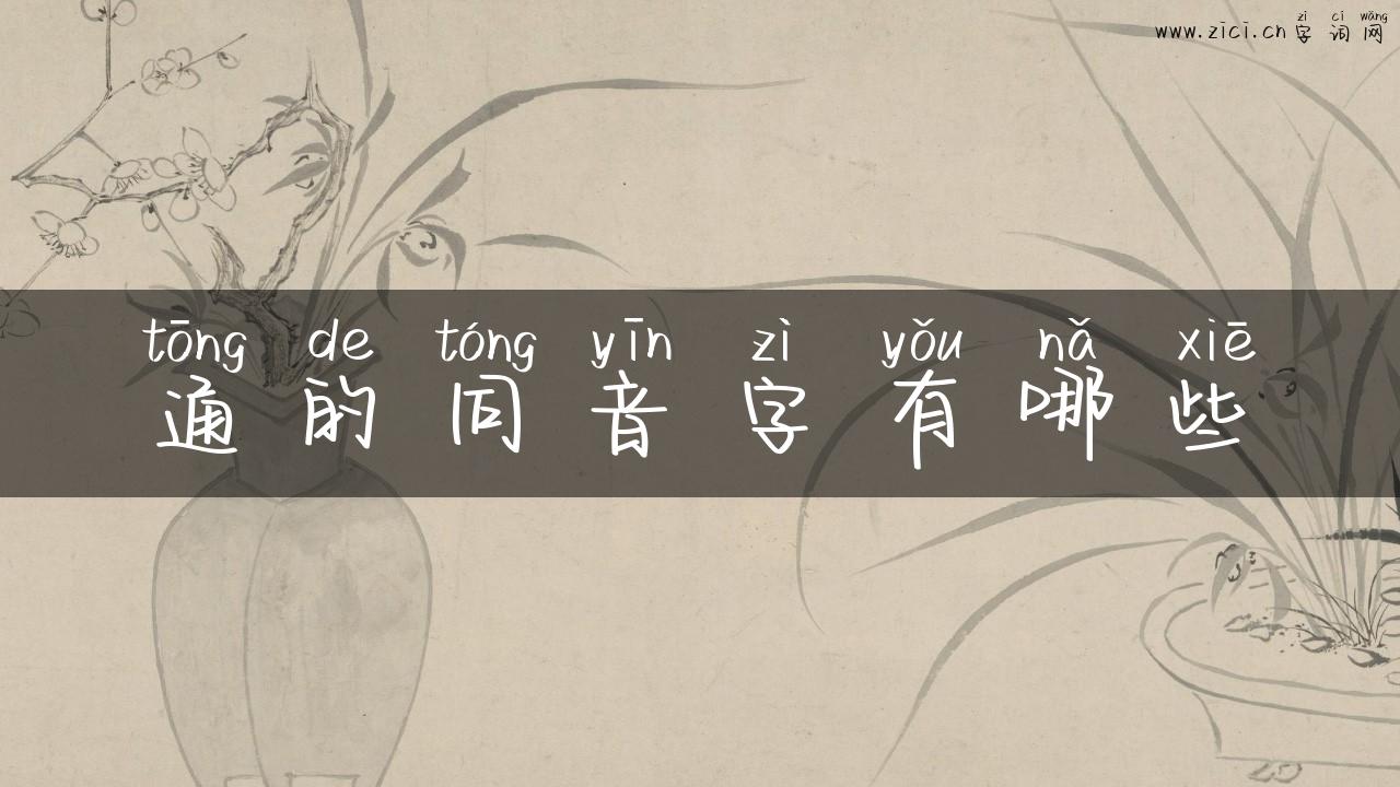 通的同音字有哪些