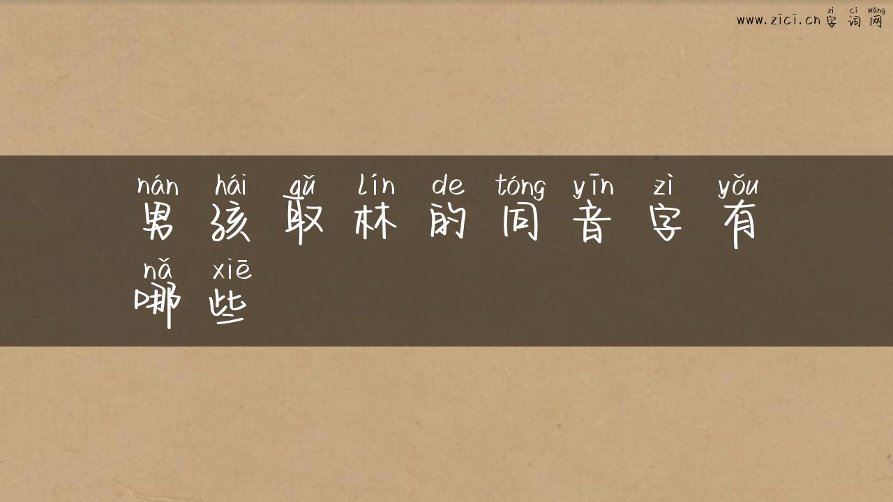 男孩取林的同音字有哪些