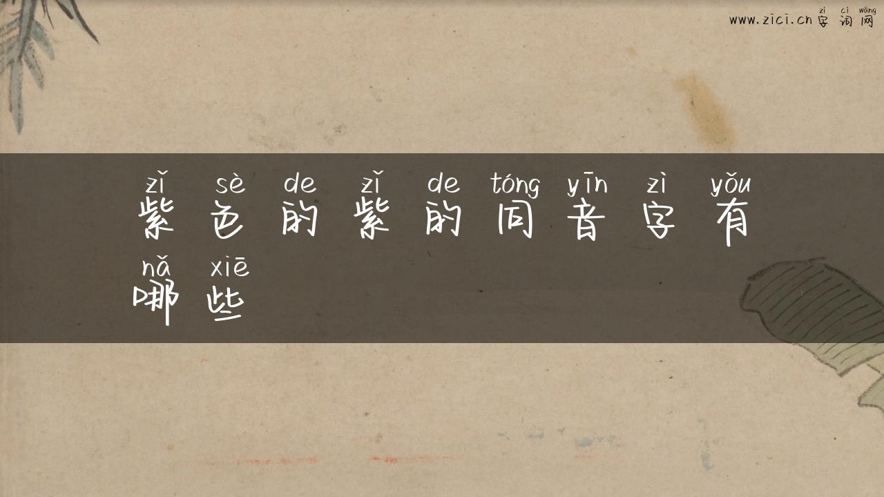 紫色的紫的同音字有哪些