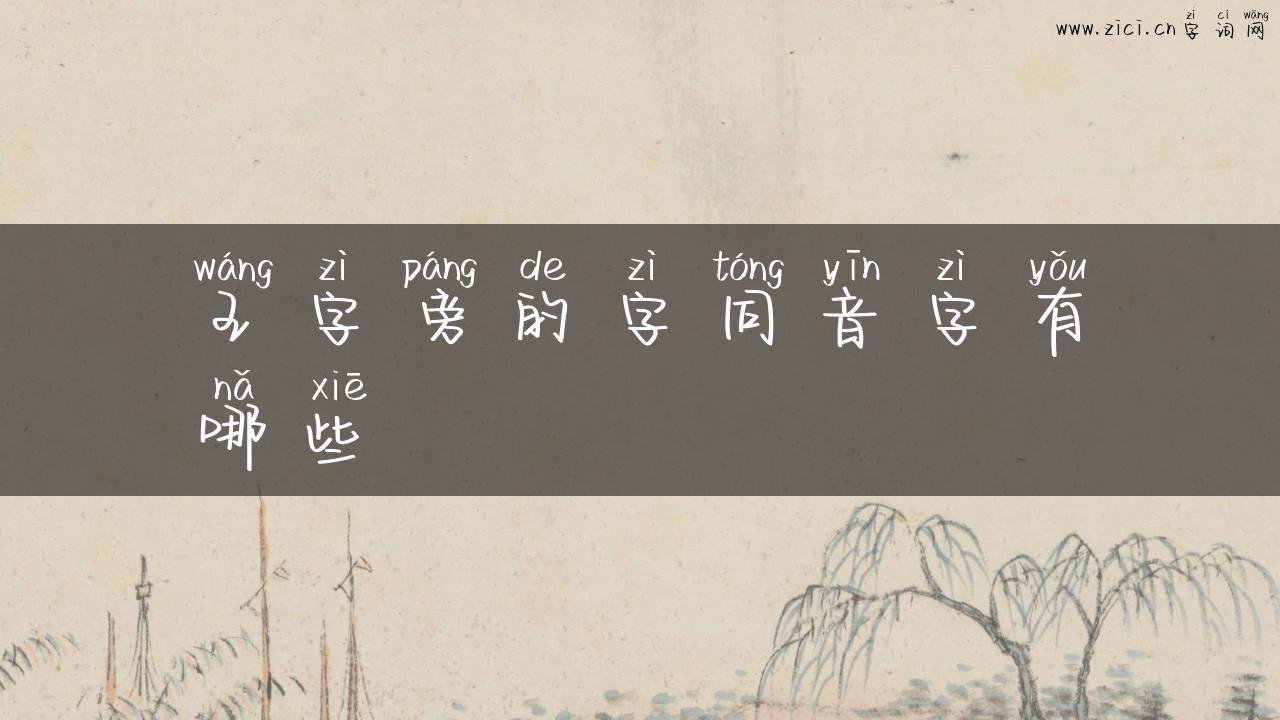 王字旁的字同音字有哪些