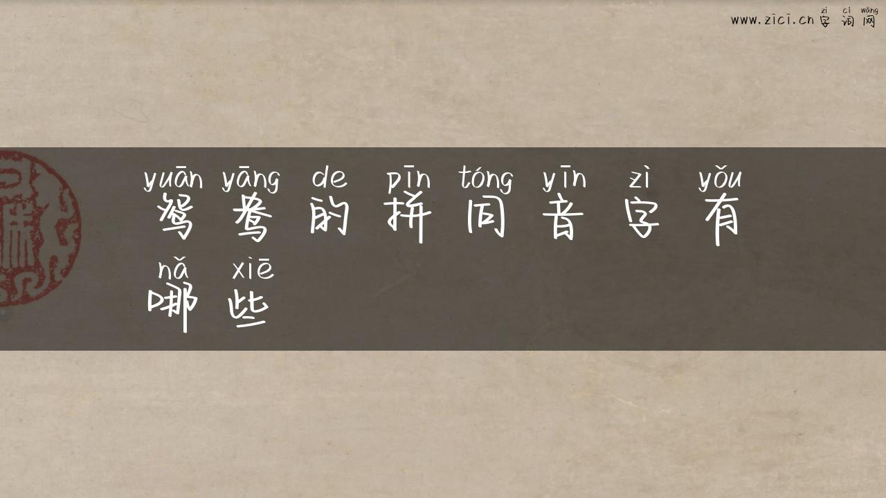 鸳鸯的拼同音字有哪些