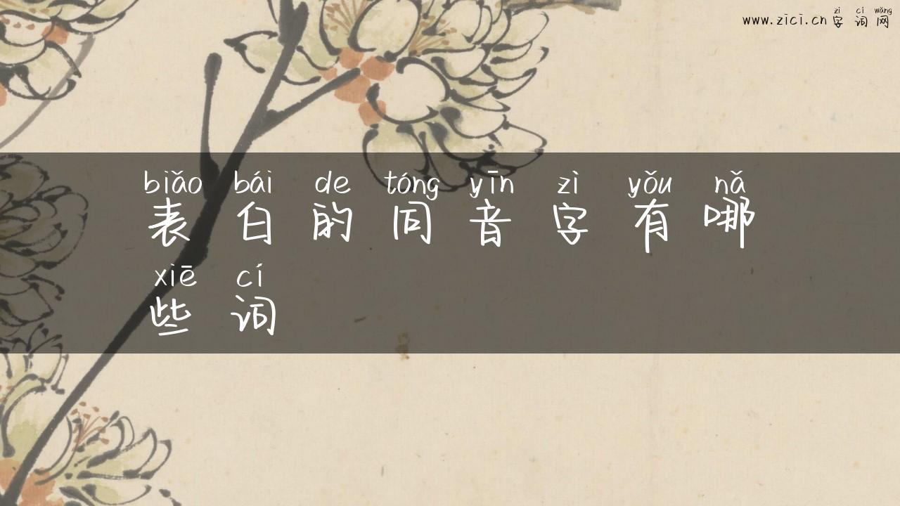 表白的同音字有哪些词