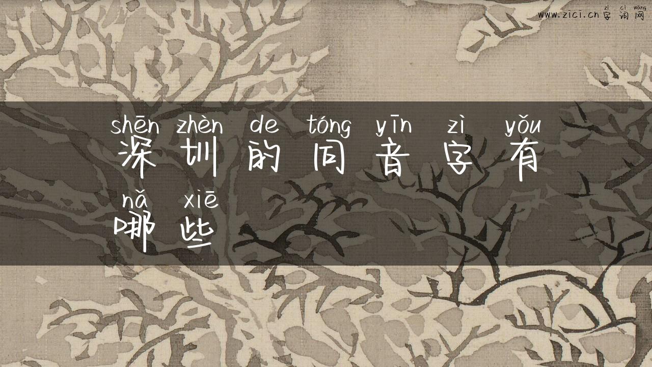 深圳的同音字有哪些
