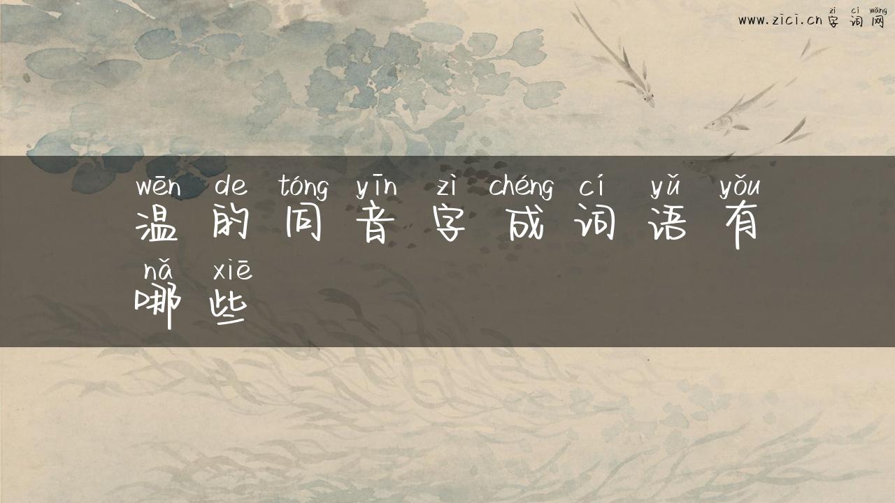 温的同音字成词语有哪些