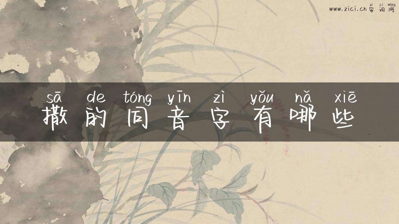 撒的同音字有哪些