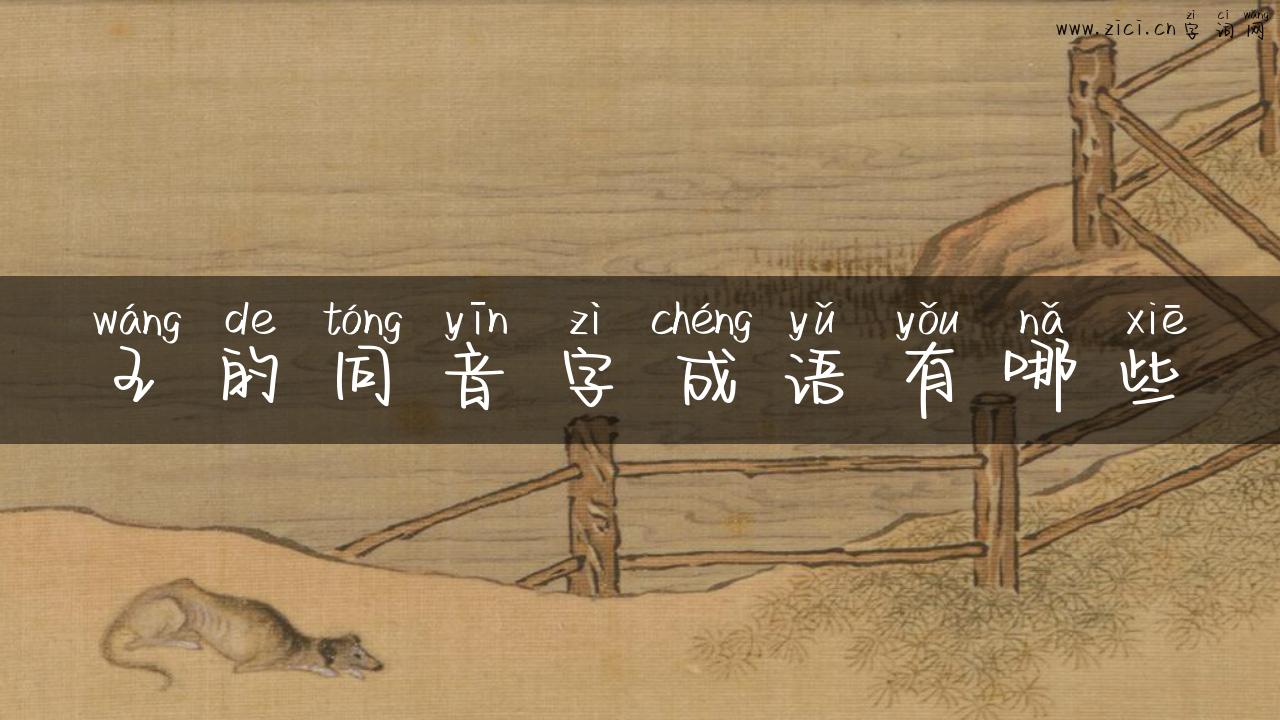 王的同音字成语有哪些