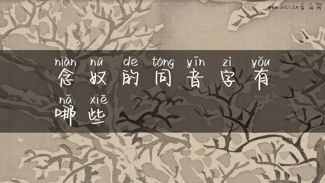 念奴的同音字有哪些