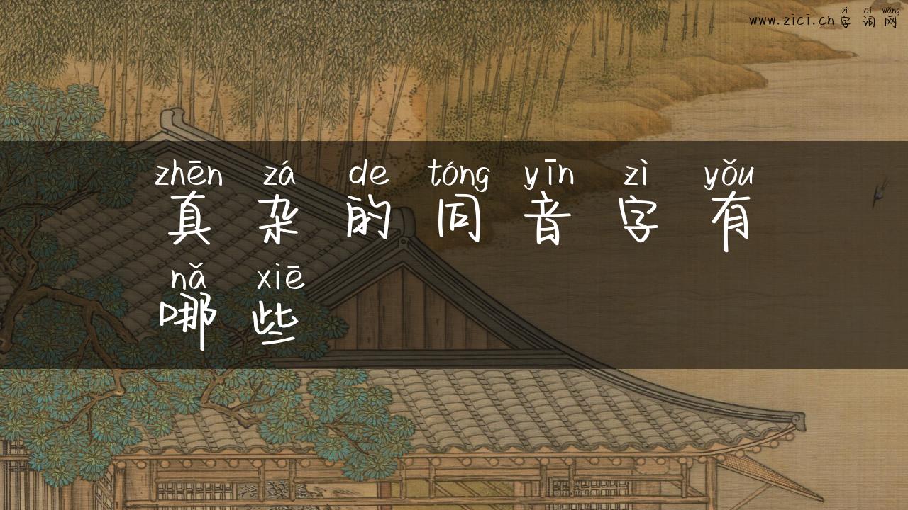 真杂的同音字有哪些