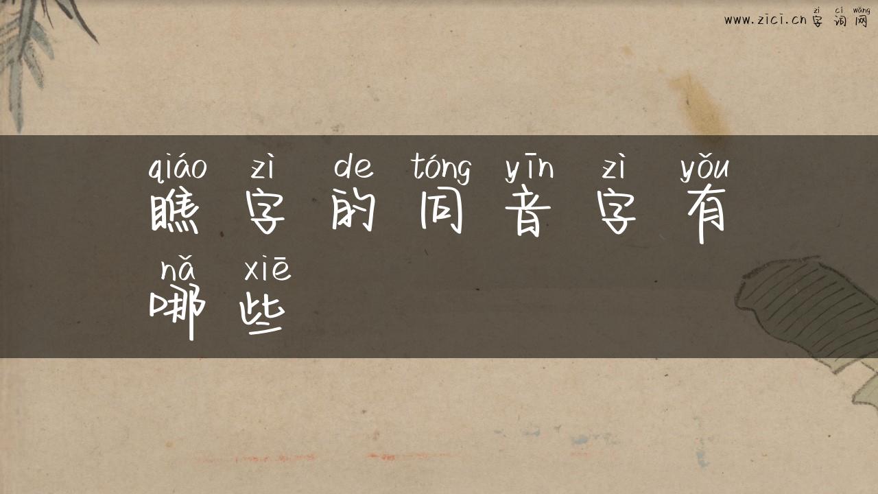 瞧字的同音字有哪些