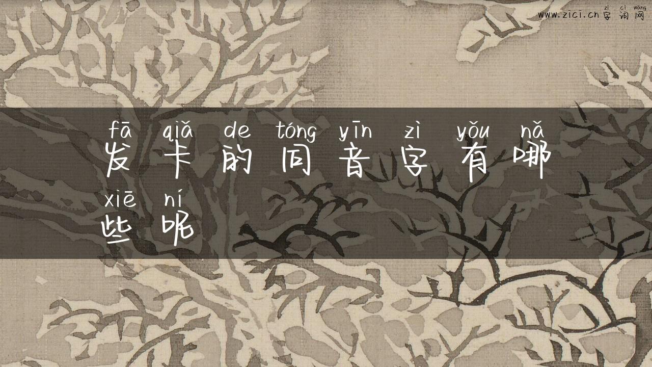 发卡的同音字有哪些呢