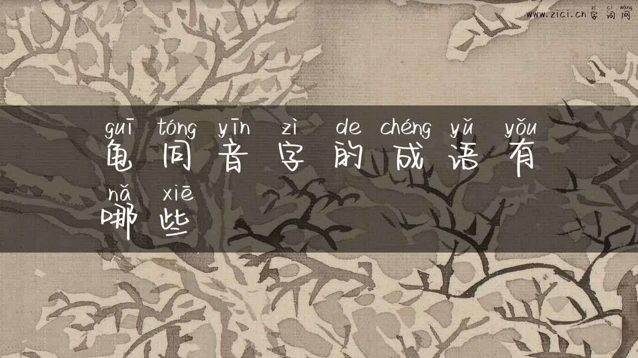 龟同音字的成语有哪些