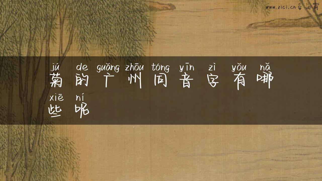菊的广州同音字有哪些呢