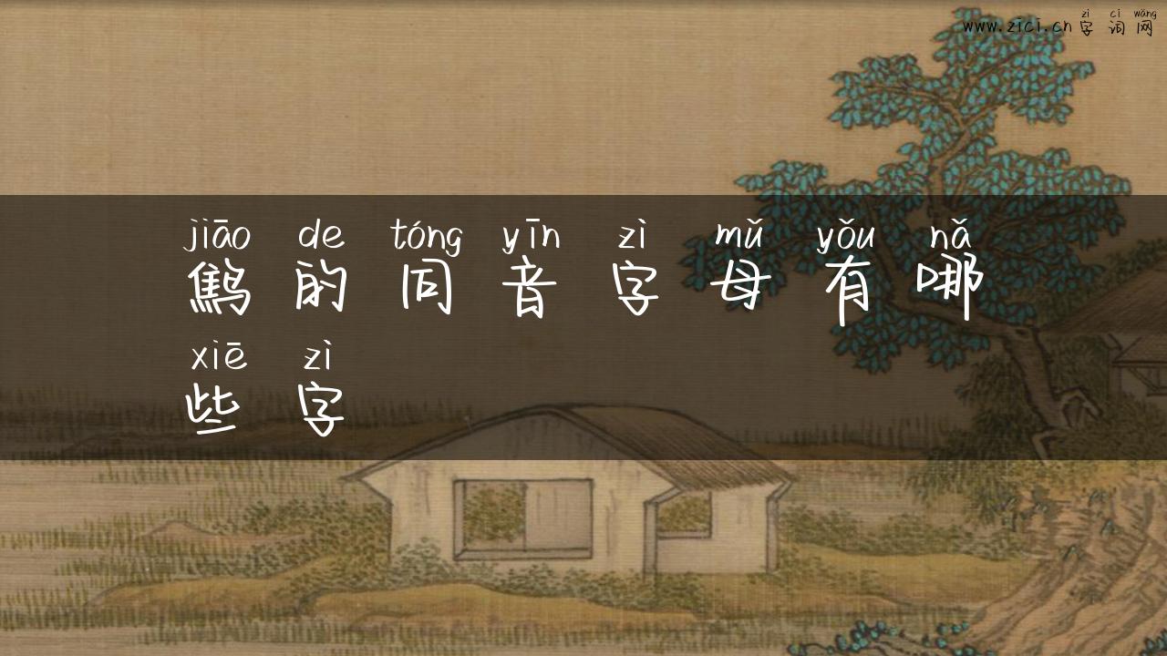 鹪的同音字母有哪些字