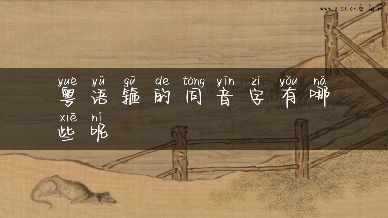 粤语箍的同音字有哪些呢
