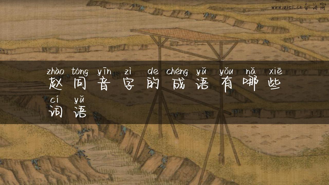 赵同音字的成语有哪些词语
