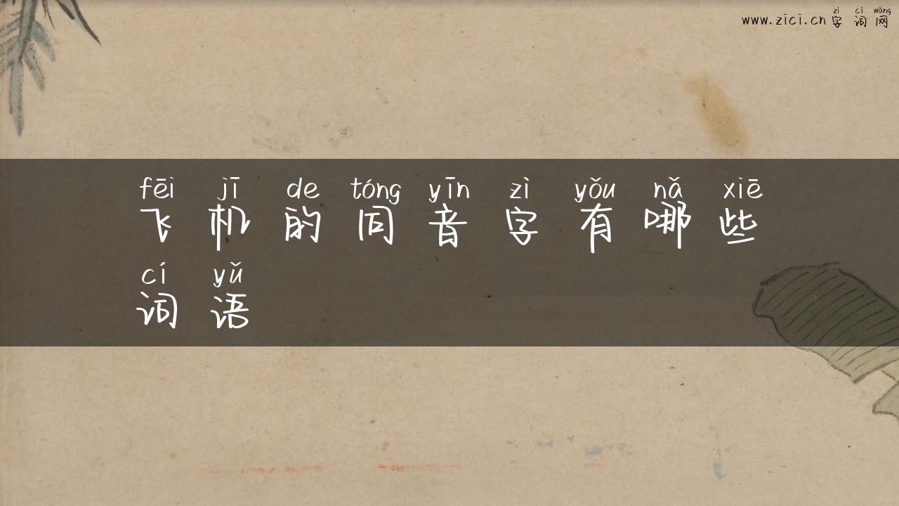 飞机的同音字有哪些词语