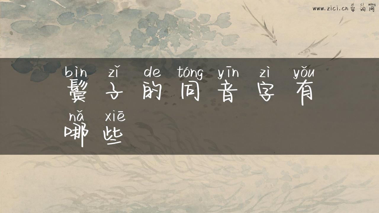 鬓子的同音字有哪些