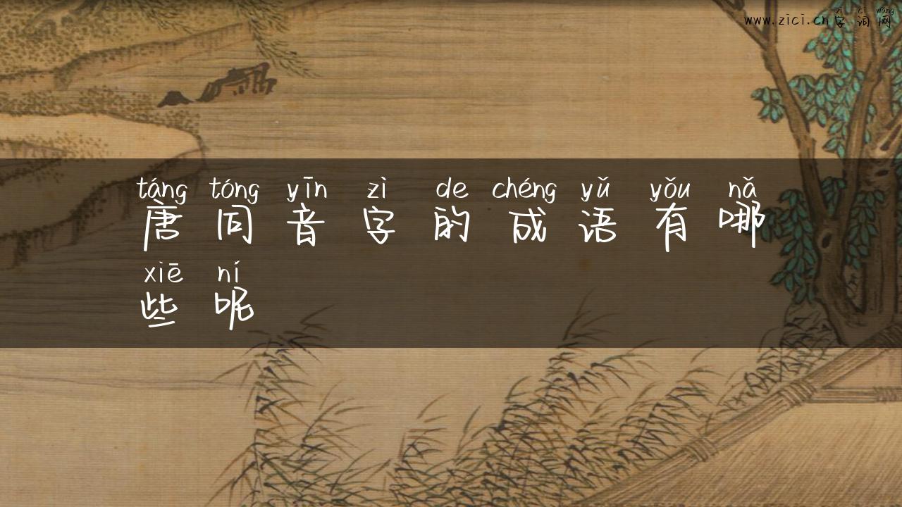 唐同音字的成语有哪些呢