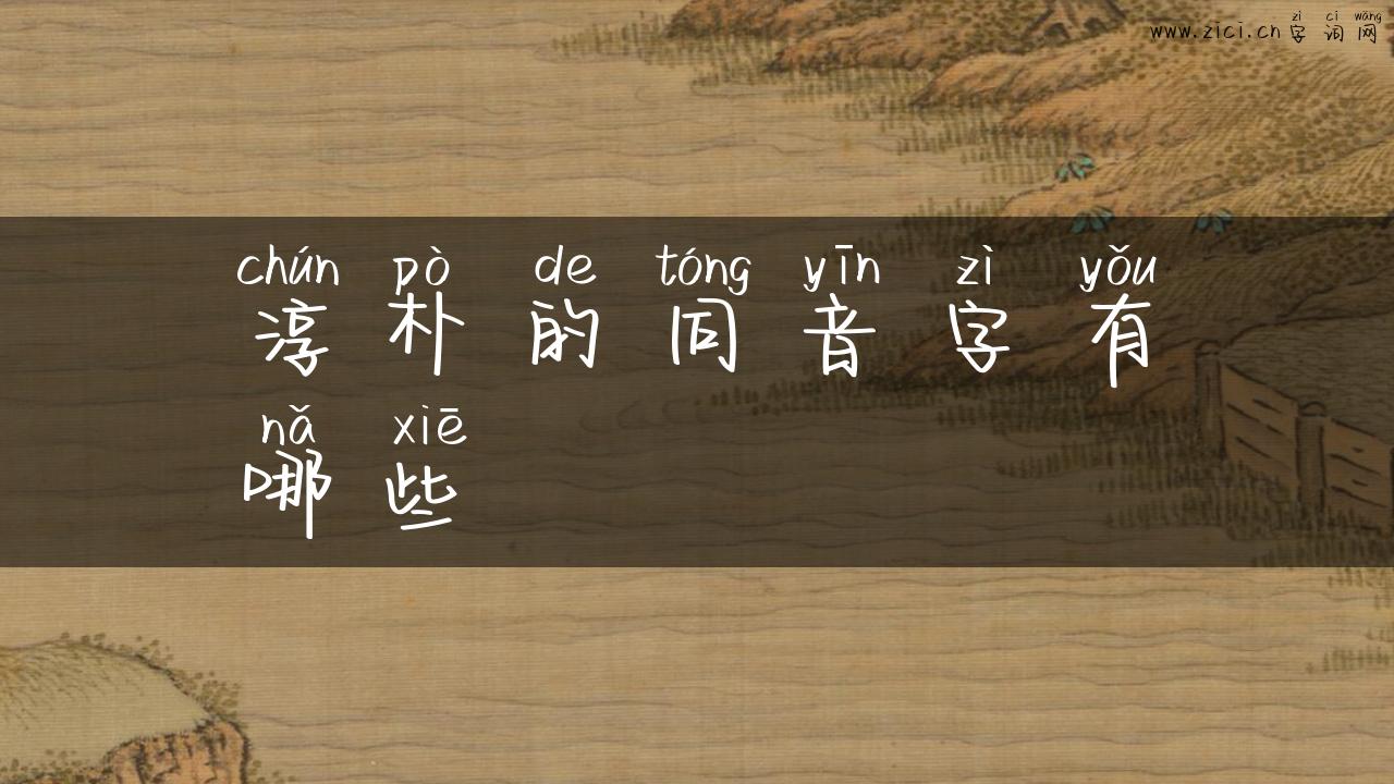 淳朴的同音字有哪些