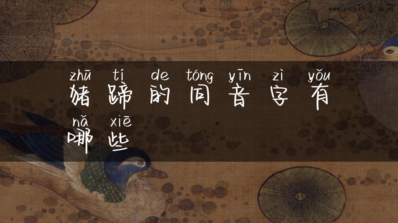 猪蹄的同音字有哪些