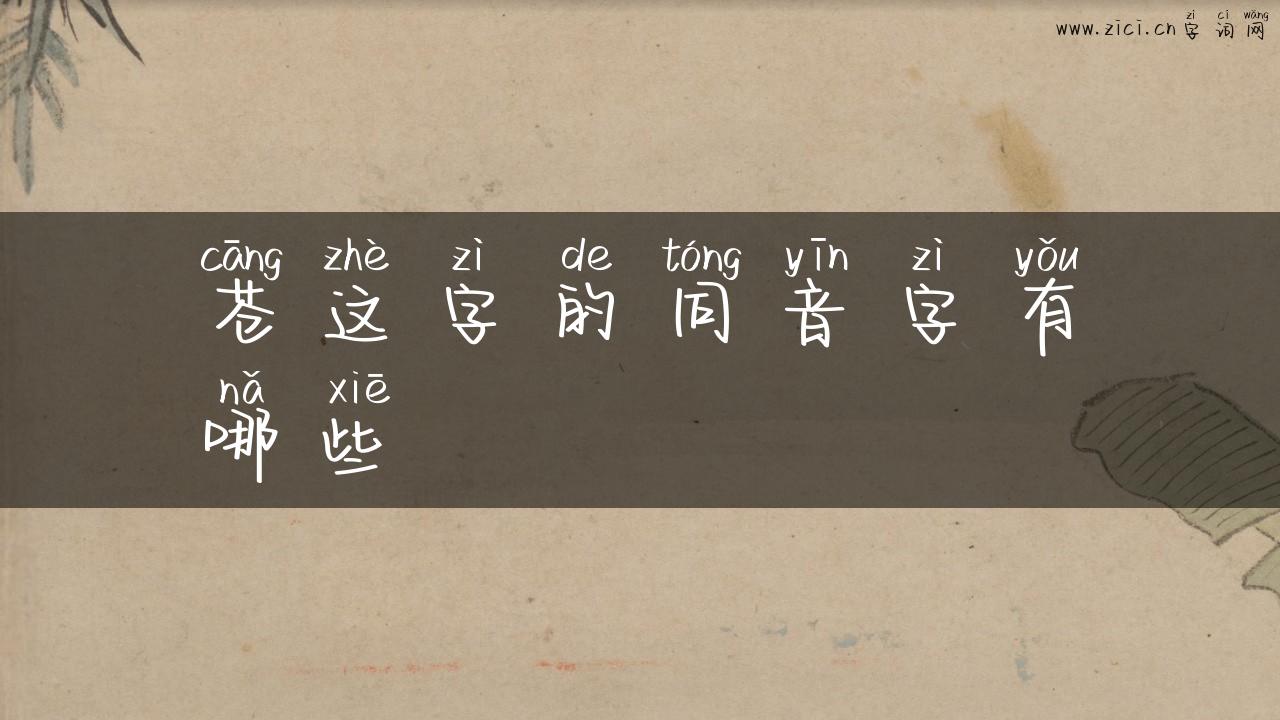 苍这字的同音字有哪些