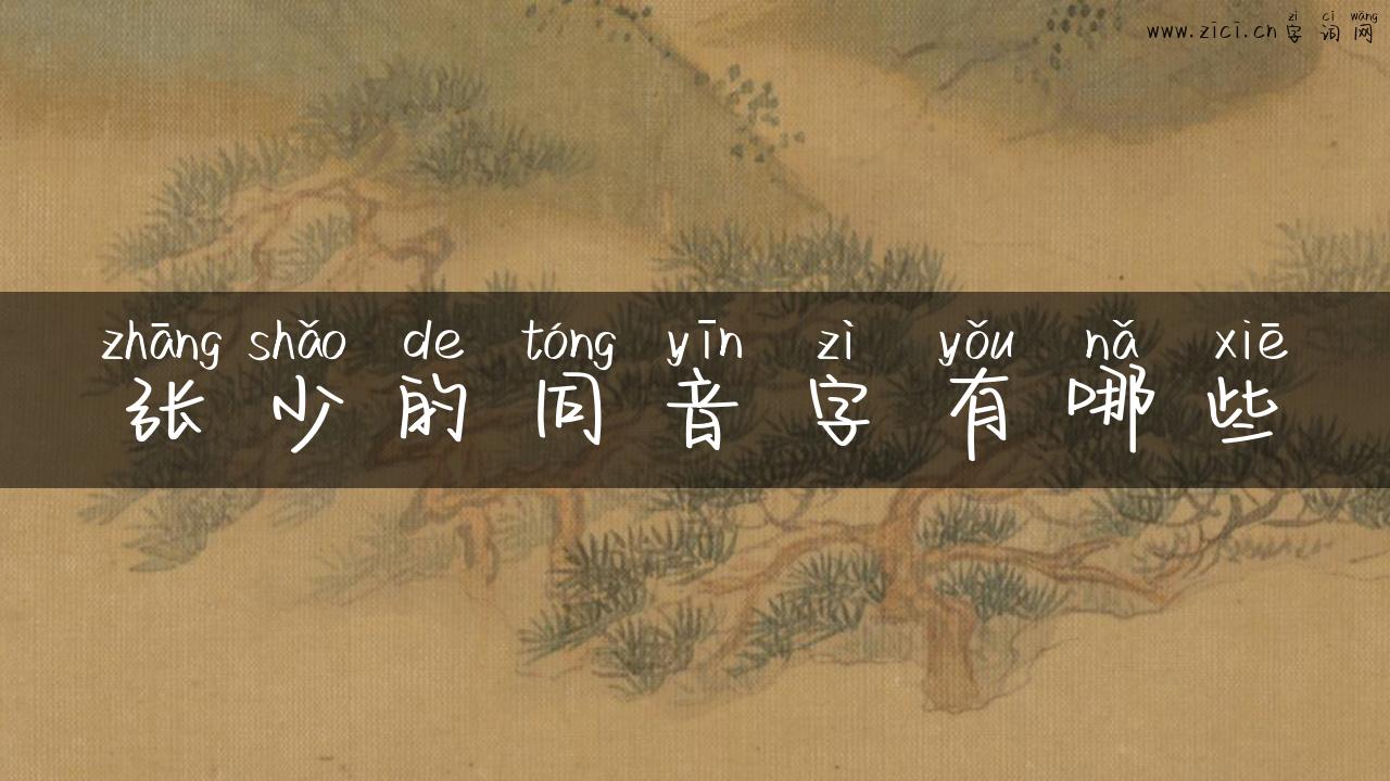 张少的同音字有哪些
