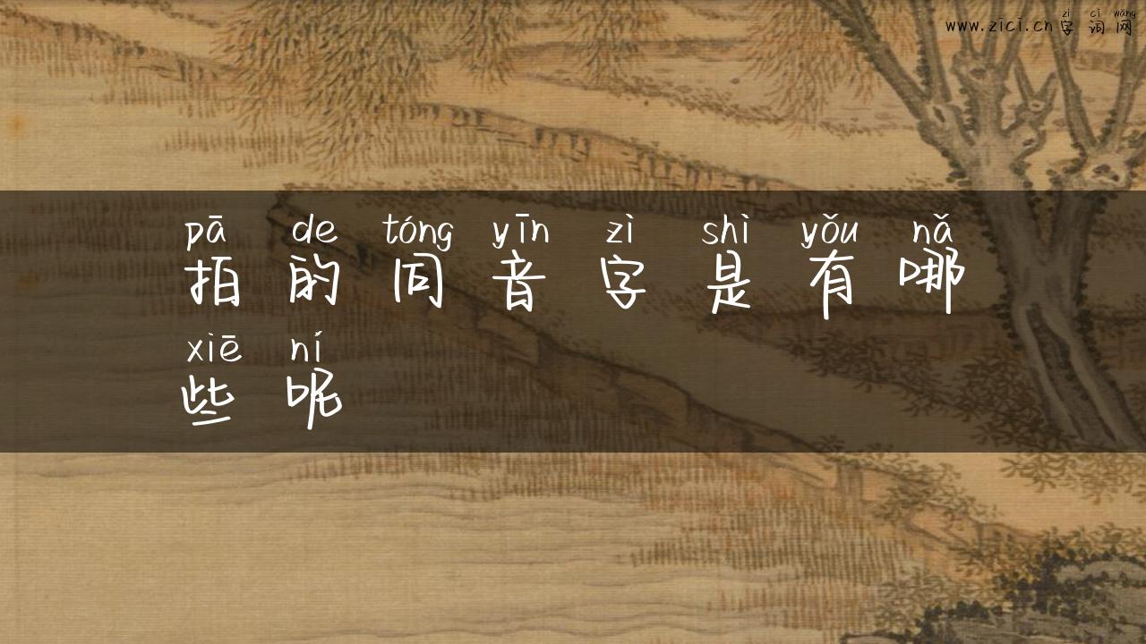 拍的同音字是有哪些呢