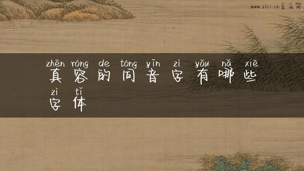 真容的同音字有哪些字体