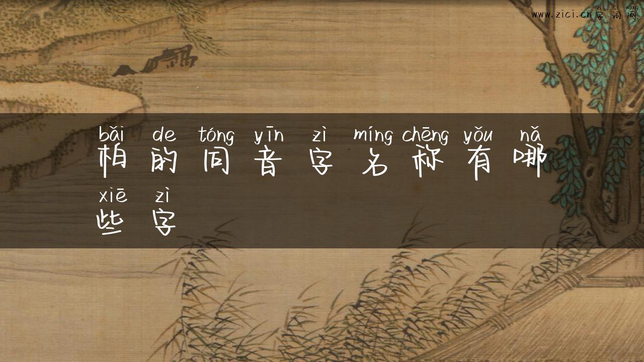 柏的同音字名称有哪些字