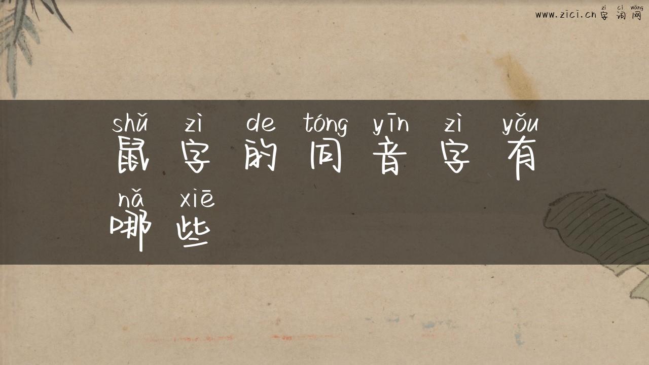 鼠字的同音字有哪些