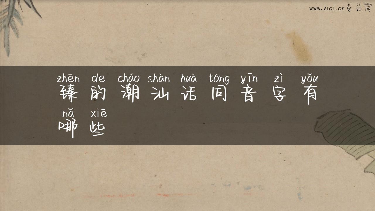 臻的潮汕话同音字有哪些