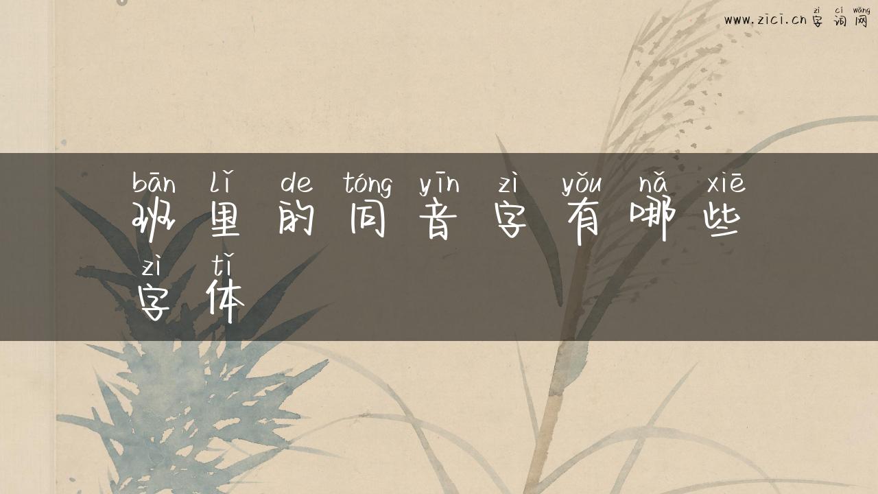 班里的同音字有哪些字体