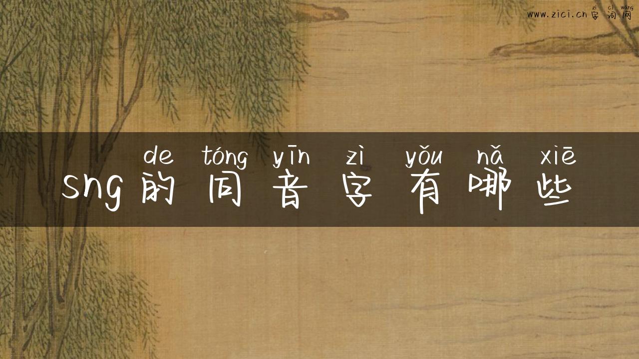 sng的同音字有哪些