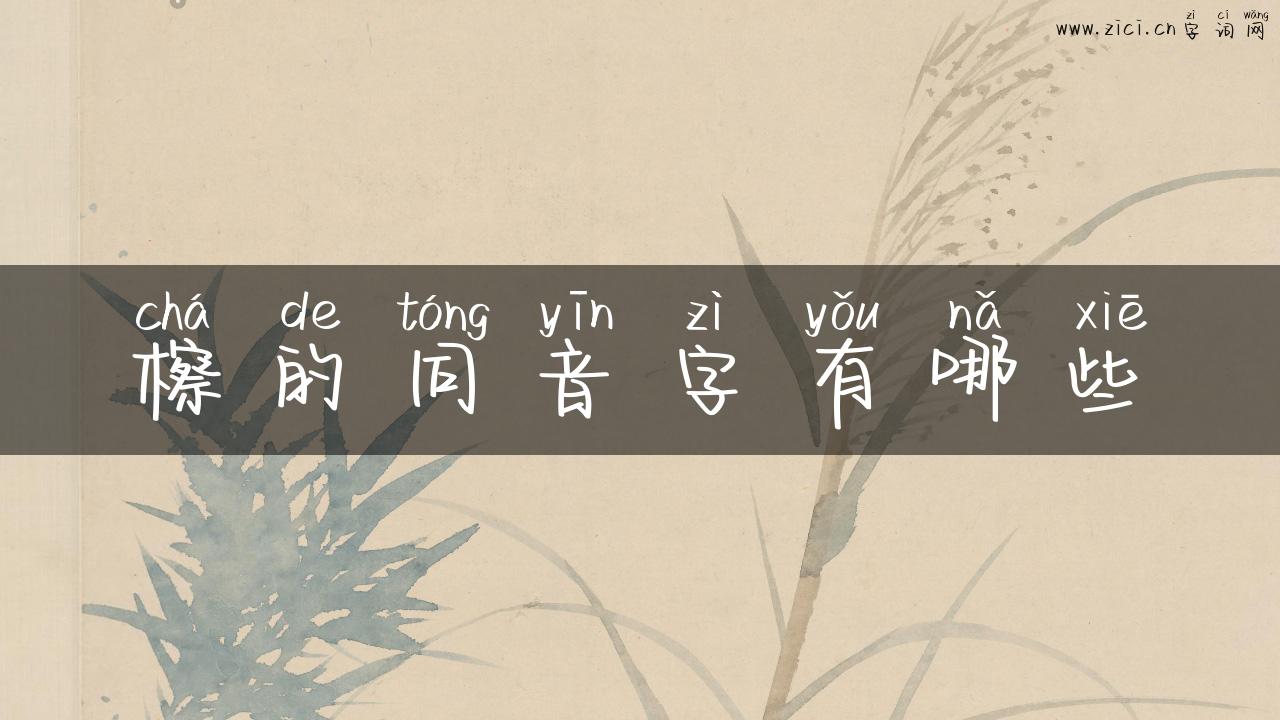檫的同音字有哪些