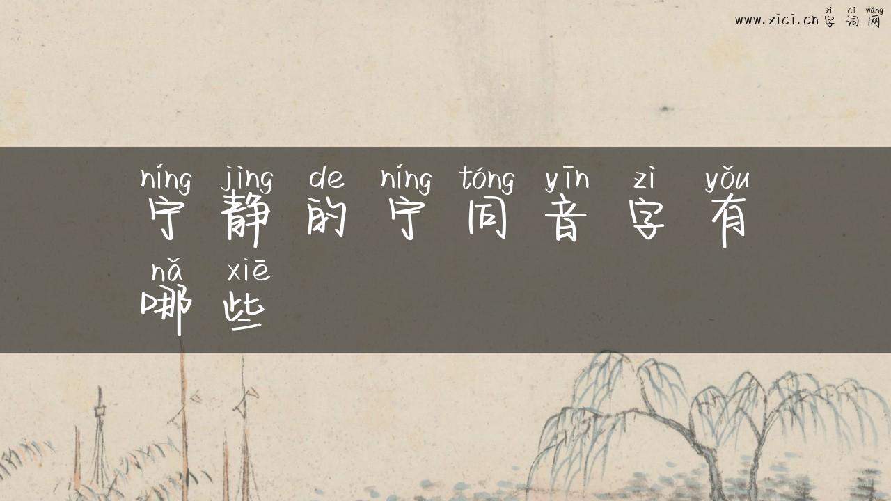 宁静的宁同音字有哪些