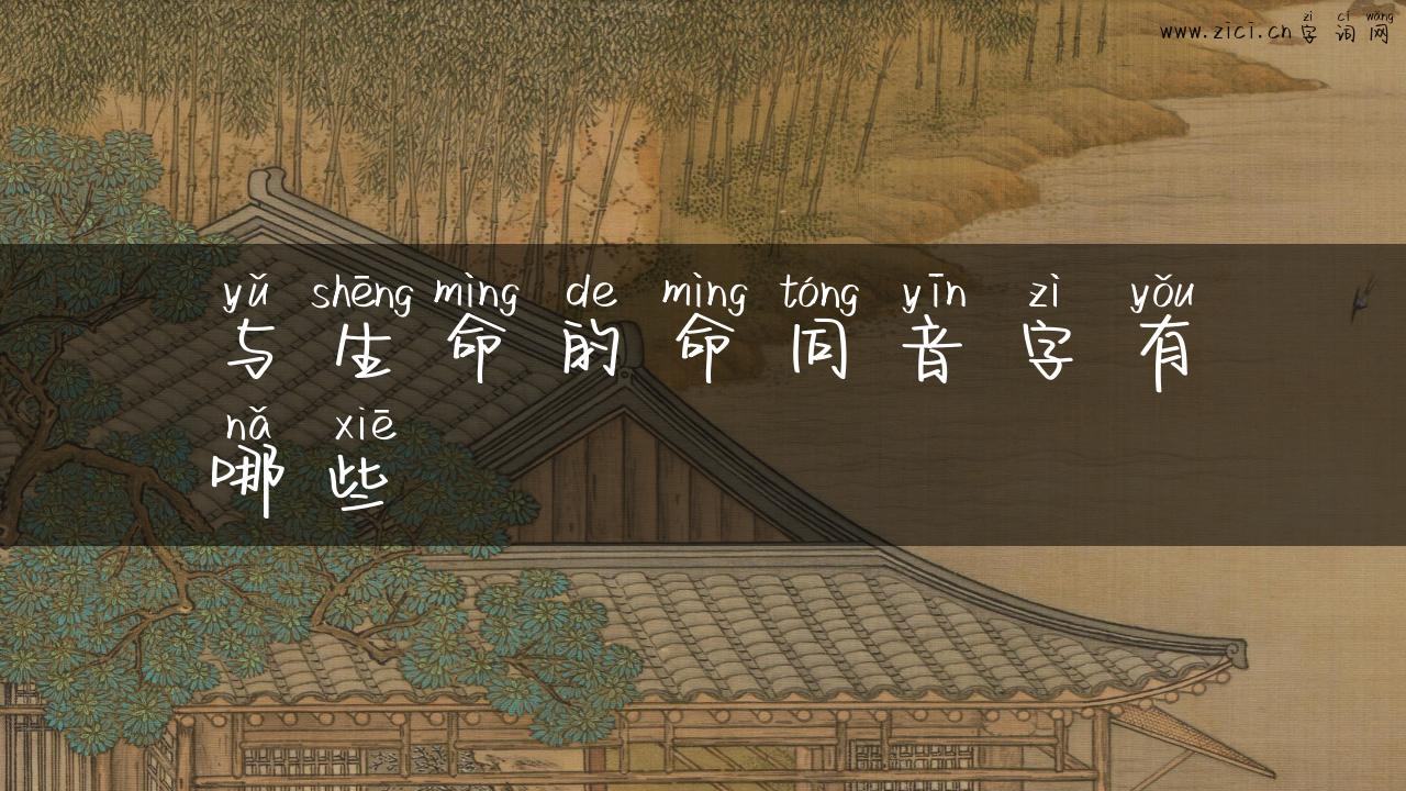 与生命的命同音字有哪些