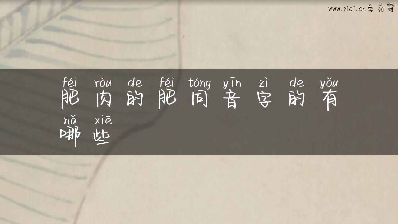 肥肉的肥同音字的有哪些