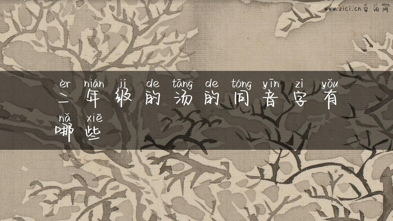 二年级的汤的同音字有哪些