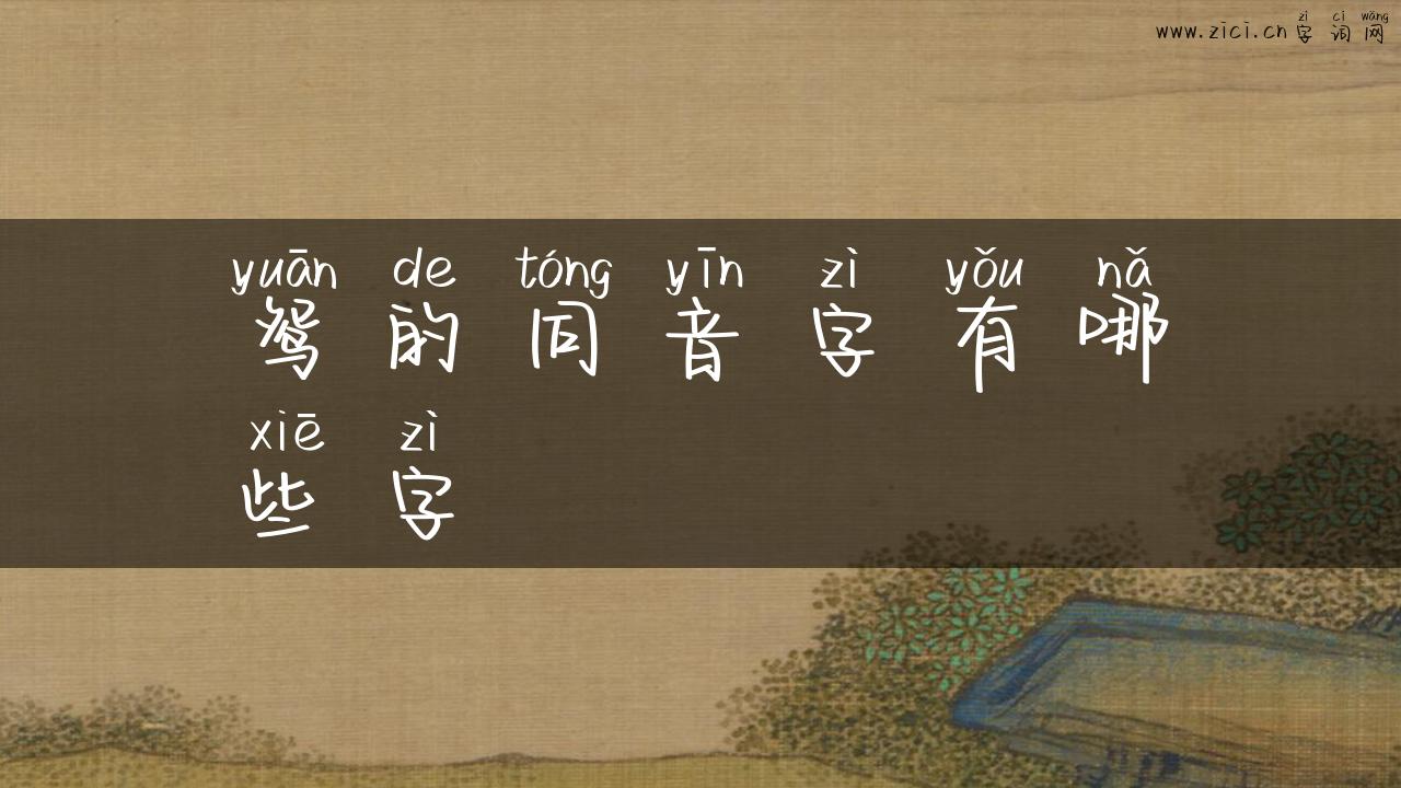 鸳的同音字有哪些字