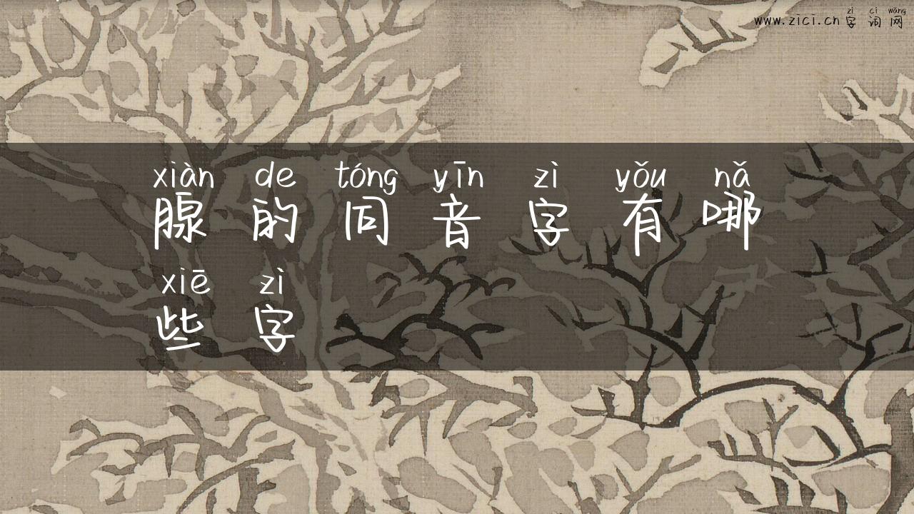 腺的同音字有哪些字