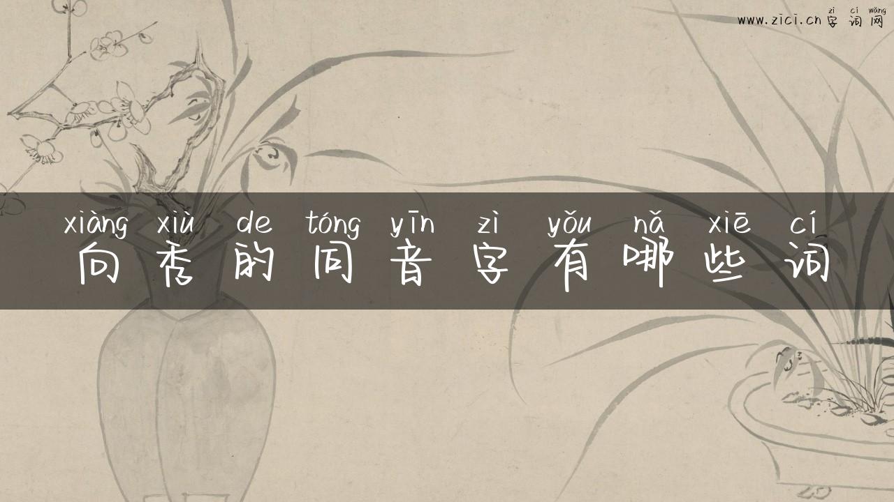 向秀的同音字有哪些词