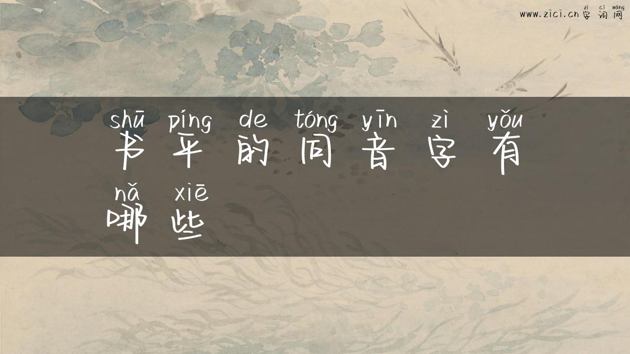 书平的同音字有哪些