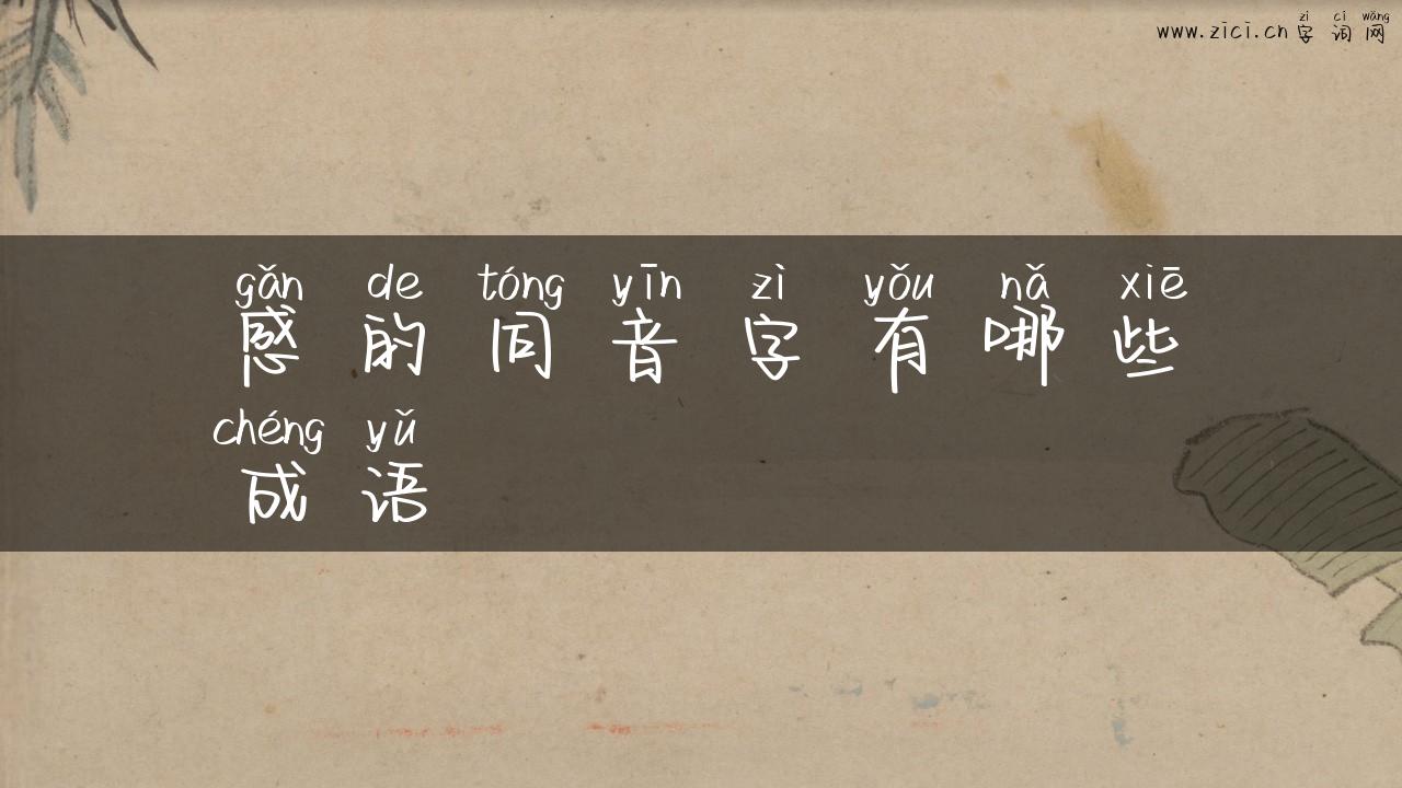 感的同音字有哪些成语