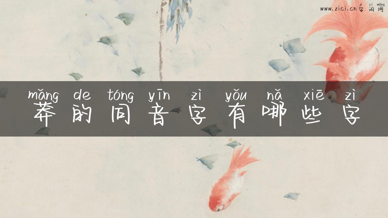 莽的同音字有哪些字