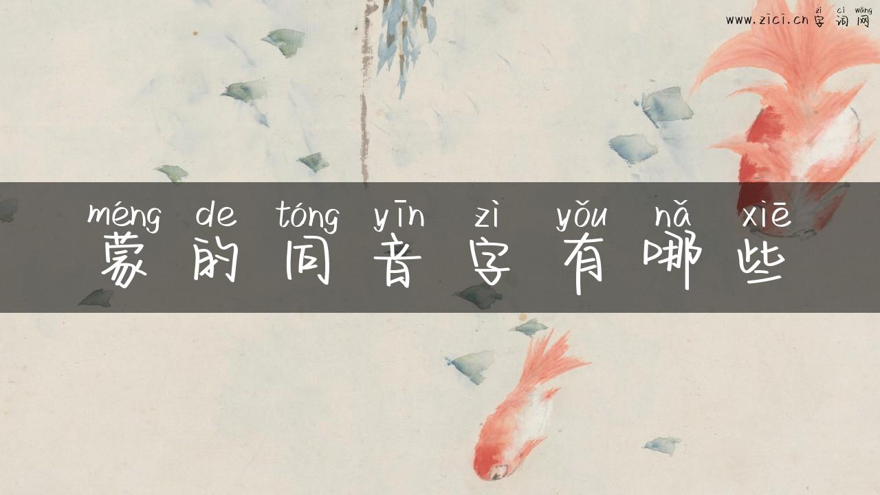 蒙的同音字有哪些
