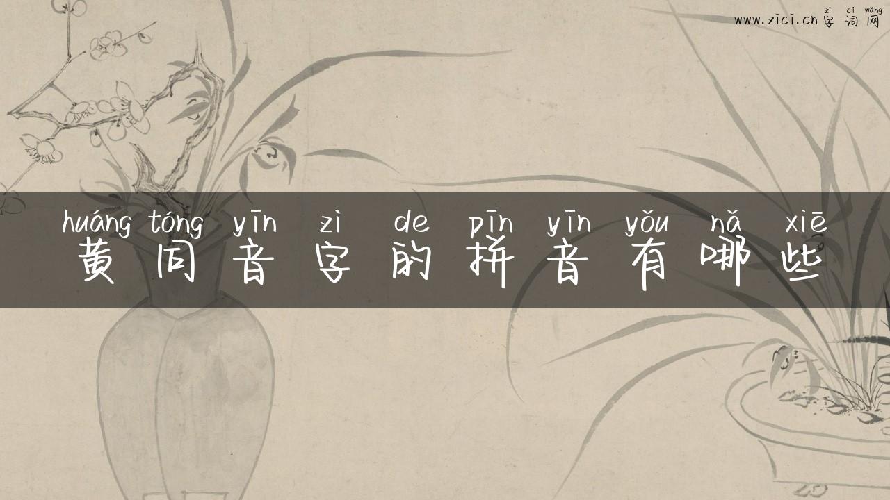黄同音字的拼音有哪些