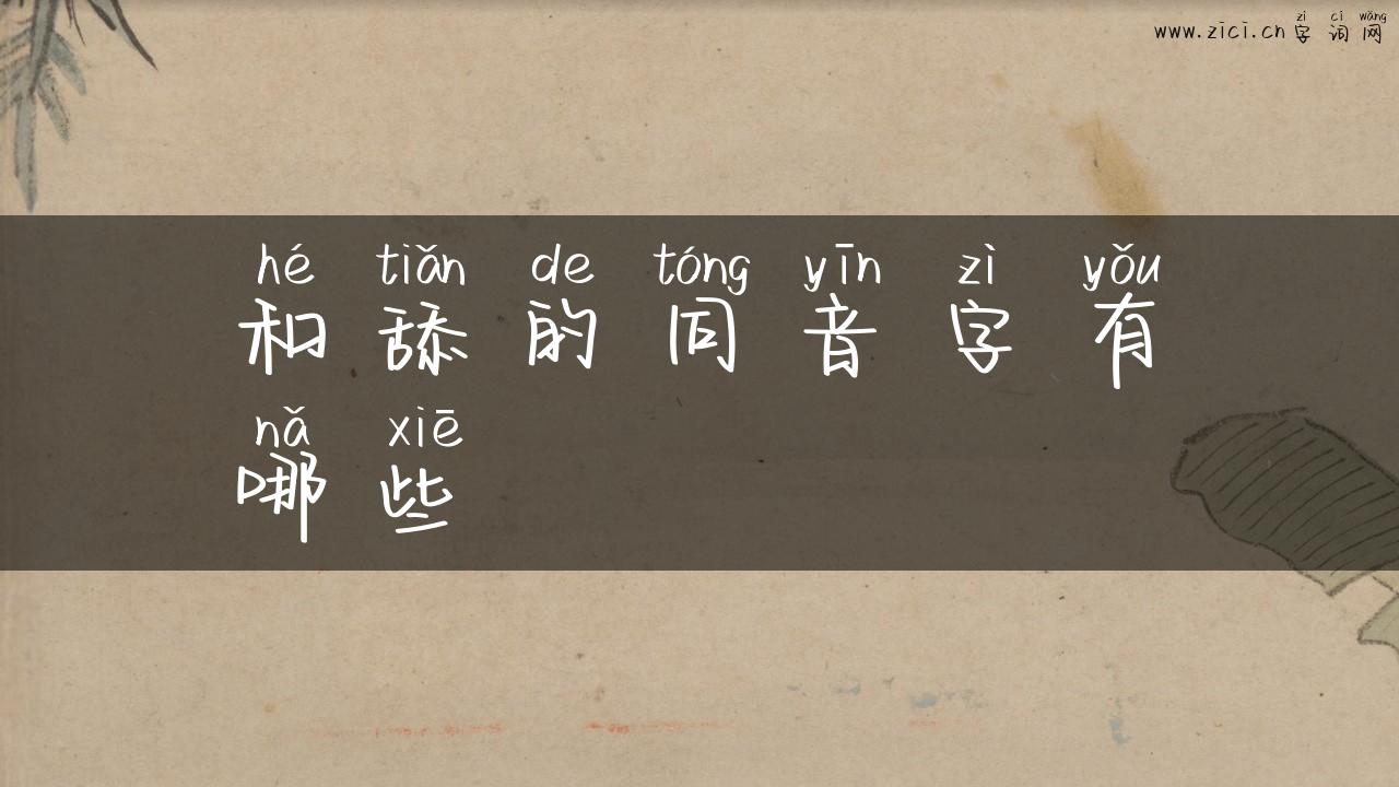 和舔的同音字有哪些